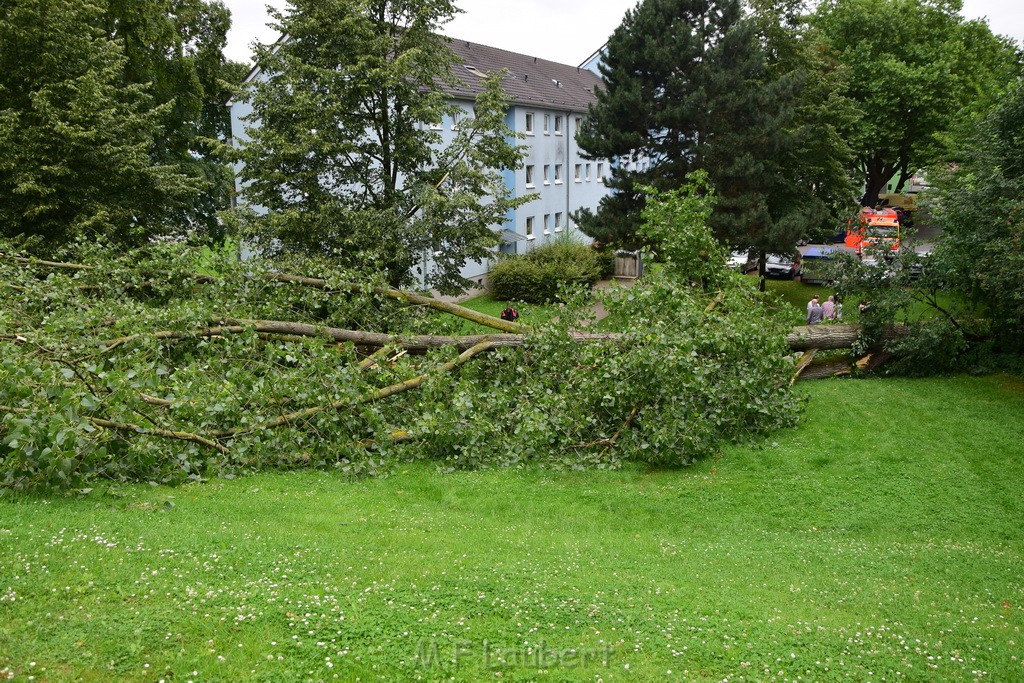 Baum umgestuerzt Koeln Vingst Waldstr P11.JPG - Miklos Laubert